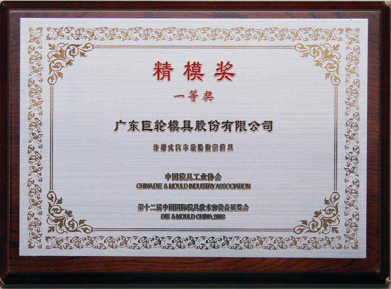 The First Prize of Precision Mold Award