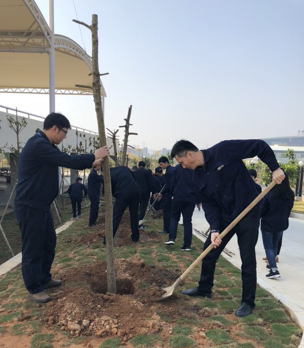 植下一棵树  收获万点绿